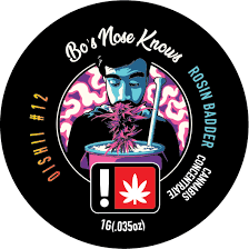 Bo's Nose Knows [OR]