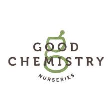GOOD CHEMISTRY [MA]
