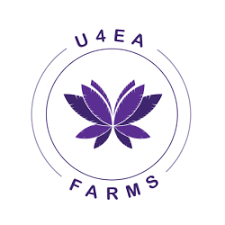 U4EA FARMS [MA]