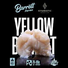 Yellow Burst [CA] Barrett Farms