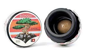Mamba [OR] Bonsai