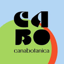 Pink Drink [CA] Cabanbotanica
