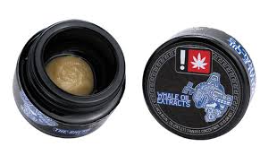 GG4 [OR] Whale Oil Extracts