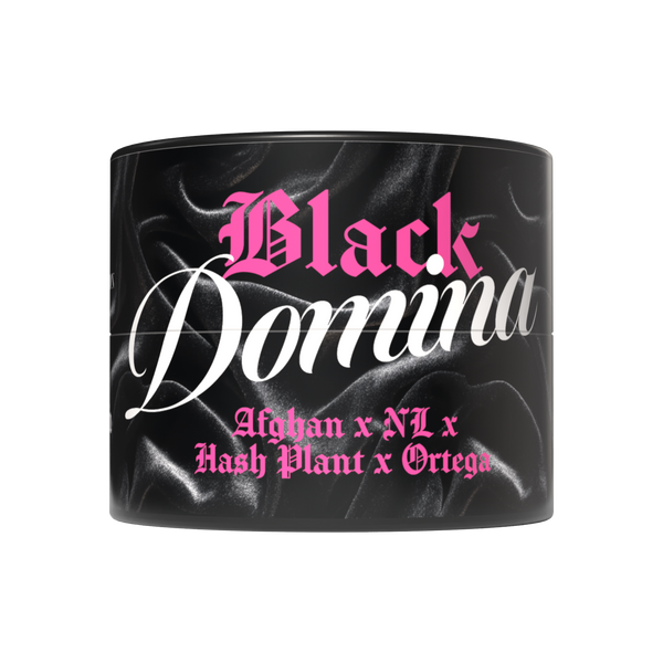 Black Domina [WA] Constellation