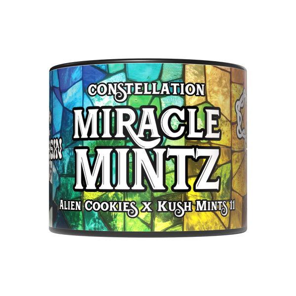 Miracle Mintz [WA] Constellation