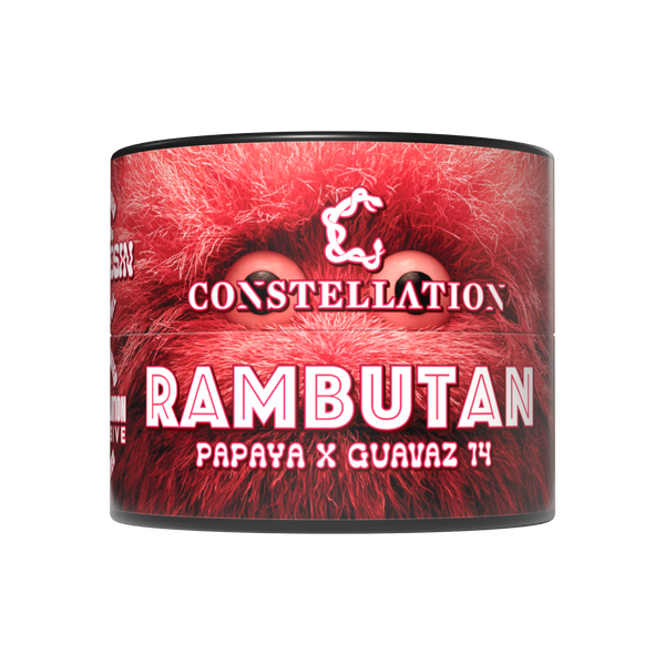 Rambutan [WA] Constellation