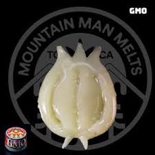 GMO Cold Cure Rosin [CA] Mountain Man Melts