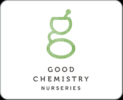 Amnesia Haze [CO] GOOD CHEMISTRY NURSERIES
