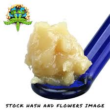 Modified Bananas Hash Rosin [CA] Hash and Flowers
