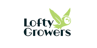 GG4 [OR] LOFTY