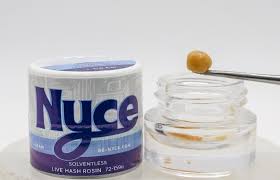 Cake Gelato [NY] NYCE