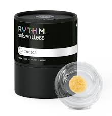 GMO [NJ] Rythm