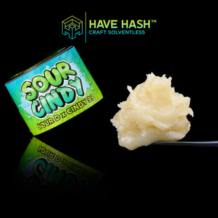Sour Cindy [CA]