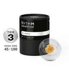 Gogurtz [NY] RYTHM