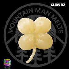 Guavaz Cold Cure Rosin [CA] Mountain Man Melts